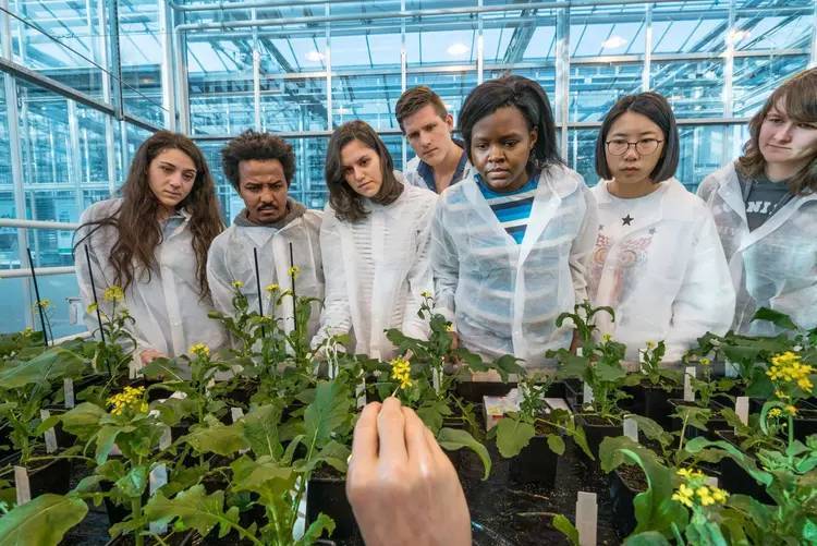 这样的农业,多忙也要抽时间去看看