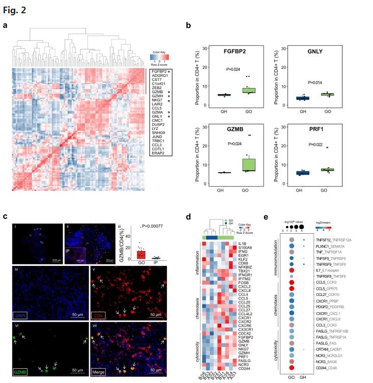 国际首次！陕西教授团队在眼病治疗中又获重大突破，引起国际关注！
