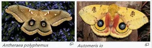 不喂奶就不会分泌奶水吗,不喂奶就是不爱宝宝