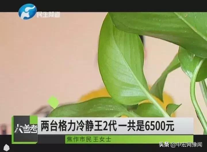 河南焦作一女子买京东名牌家电被坑，格力空调改造货当正品卖