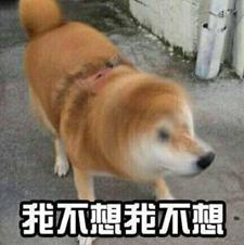 2019年度热点词大全