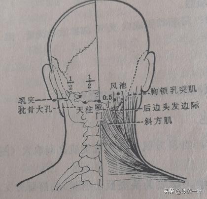 感冒的穴位图解大全,专治感冒的穴位