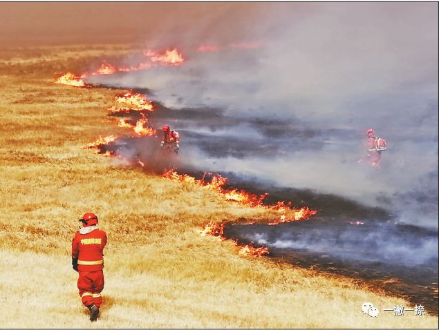 人民日报40年老照片全部,人民日报高质量短片