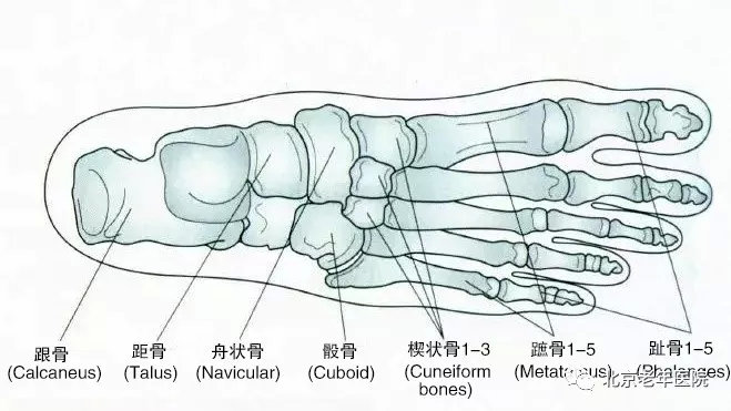 为了您的健康原版,为了您的健康保驾护航