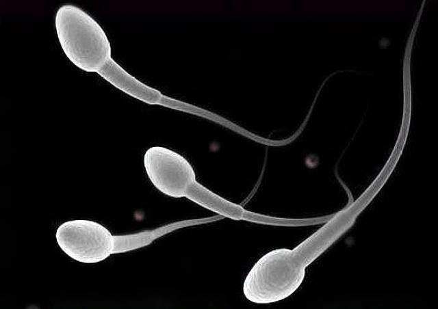 排卵了才能着床吗,排卵以后精子与卵子结合需要几天