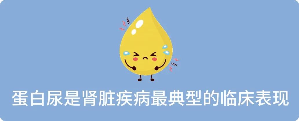 体检发现尿蛋白小泡沫是怎么回事,尿蛋白一个加号如何注意保健