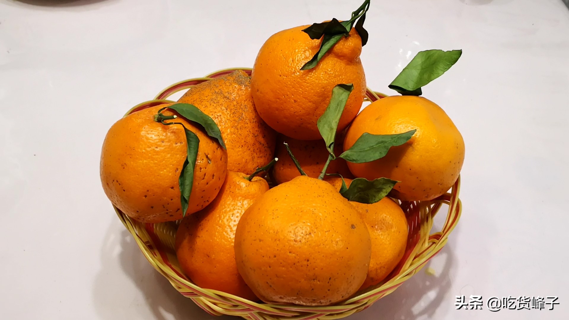 丑橘是转基因水果吗能吃吗,丑橘和转基因水果哪个好