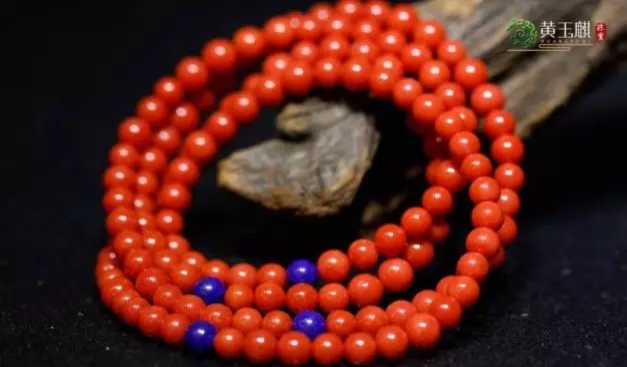 海洋的珍宝,海洋中珍贵的珊瑚