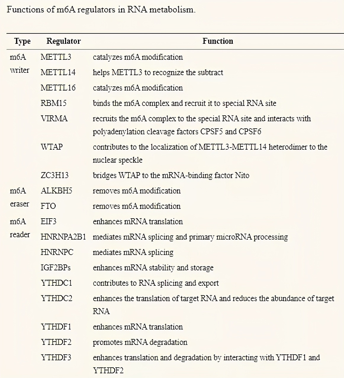 双刃剑m6a治疗,肿瘤生物学治疗研究进展