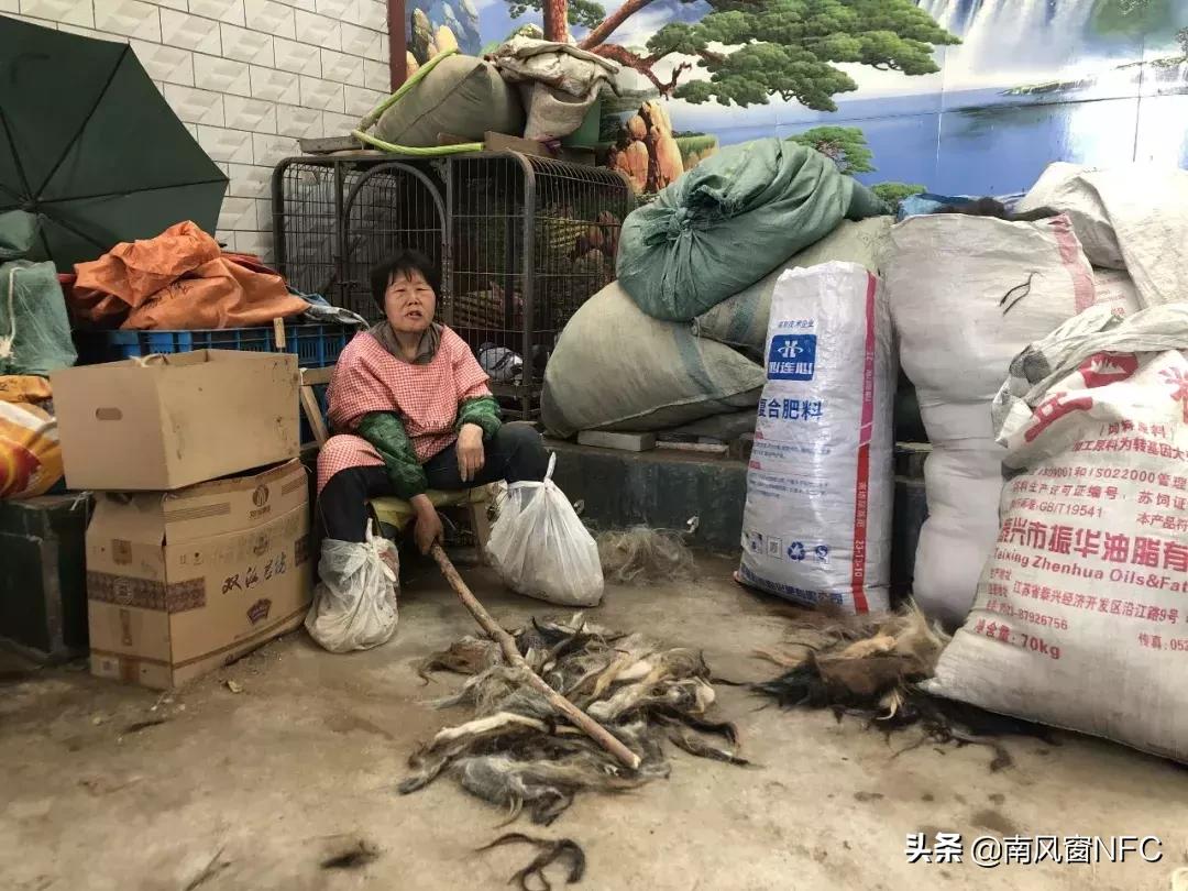 假发之都许昌视频,假发之都许昌哪里有