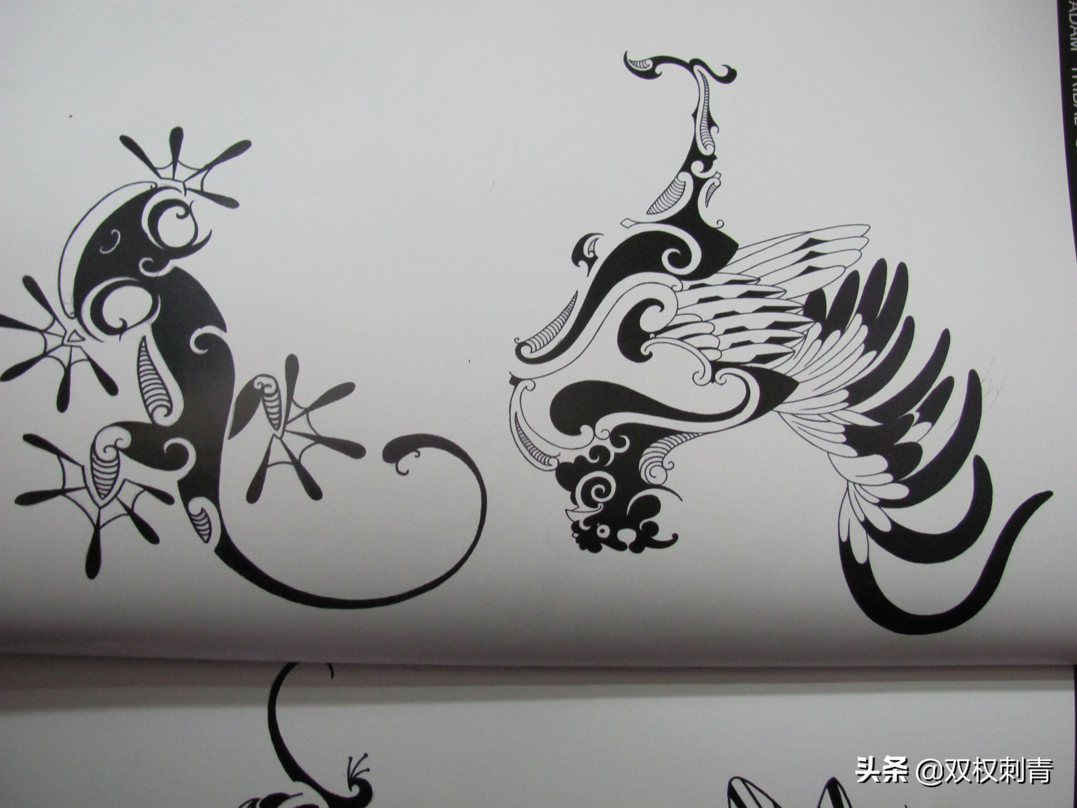 凤凰图腾图,张氏图腾图