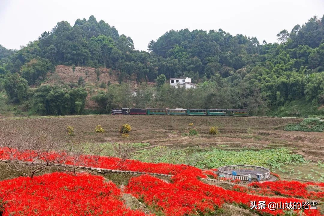 乐山嘉阳小火车值得去吗,嘉阳小火车与乐山大佛相隔多远