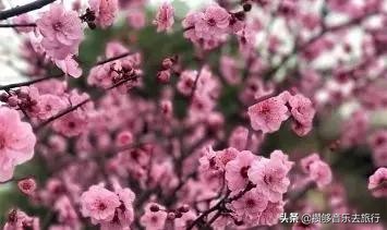 开挂了这座人口仅30万的小城,却连续5年上榜“四川省十强县”