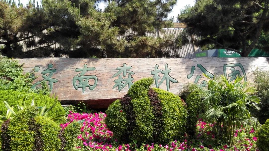 济南3月免费赏花攻略,花都开了济南周边赏花攻略收好