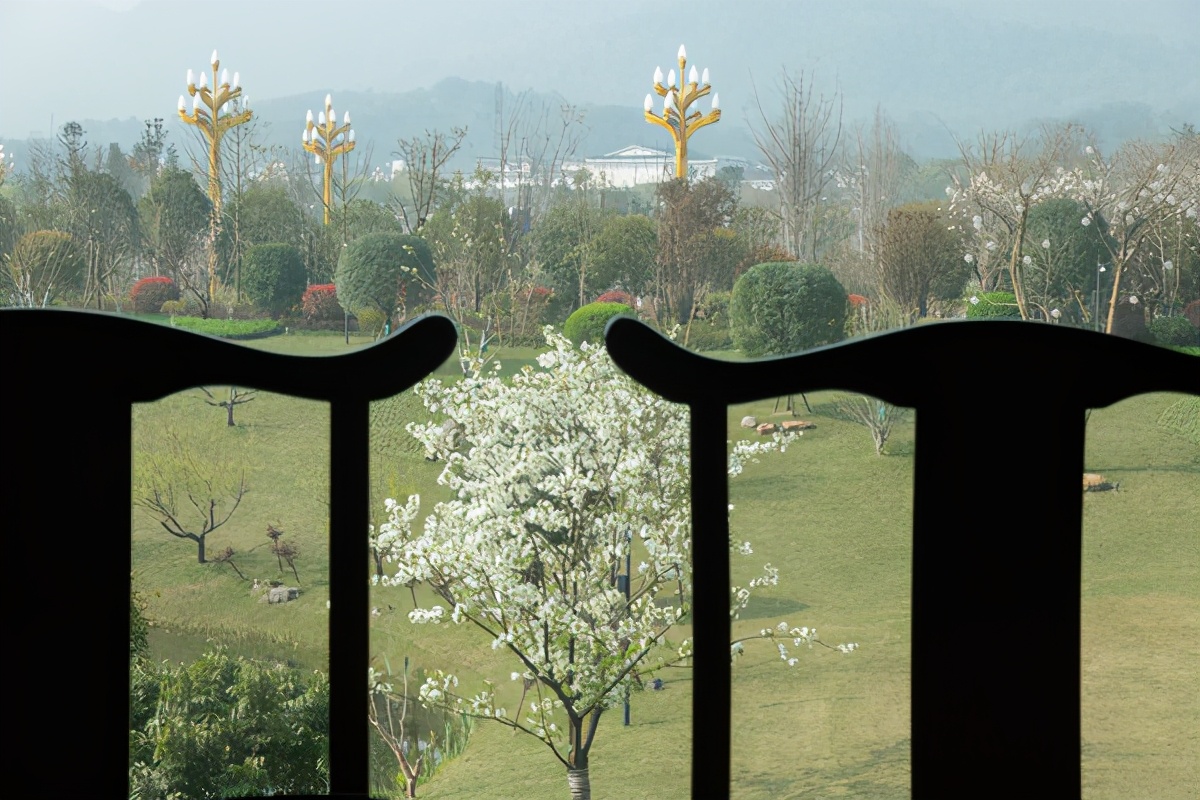峨眉山艾美温泉酒店,峨眉山市艾美酒店效果图