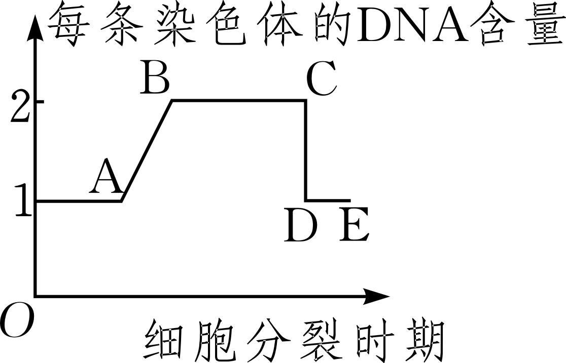生物期中考选择题必考知识点,2017年生物期中考试题