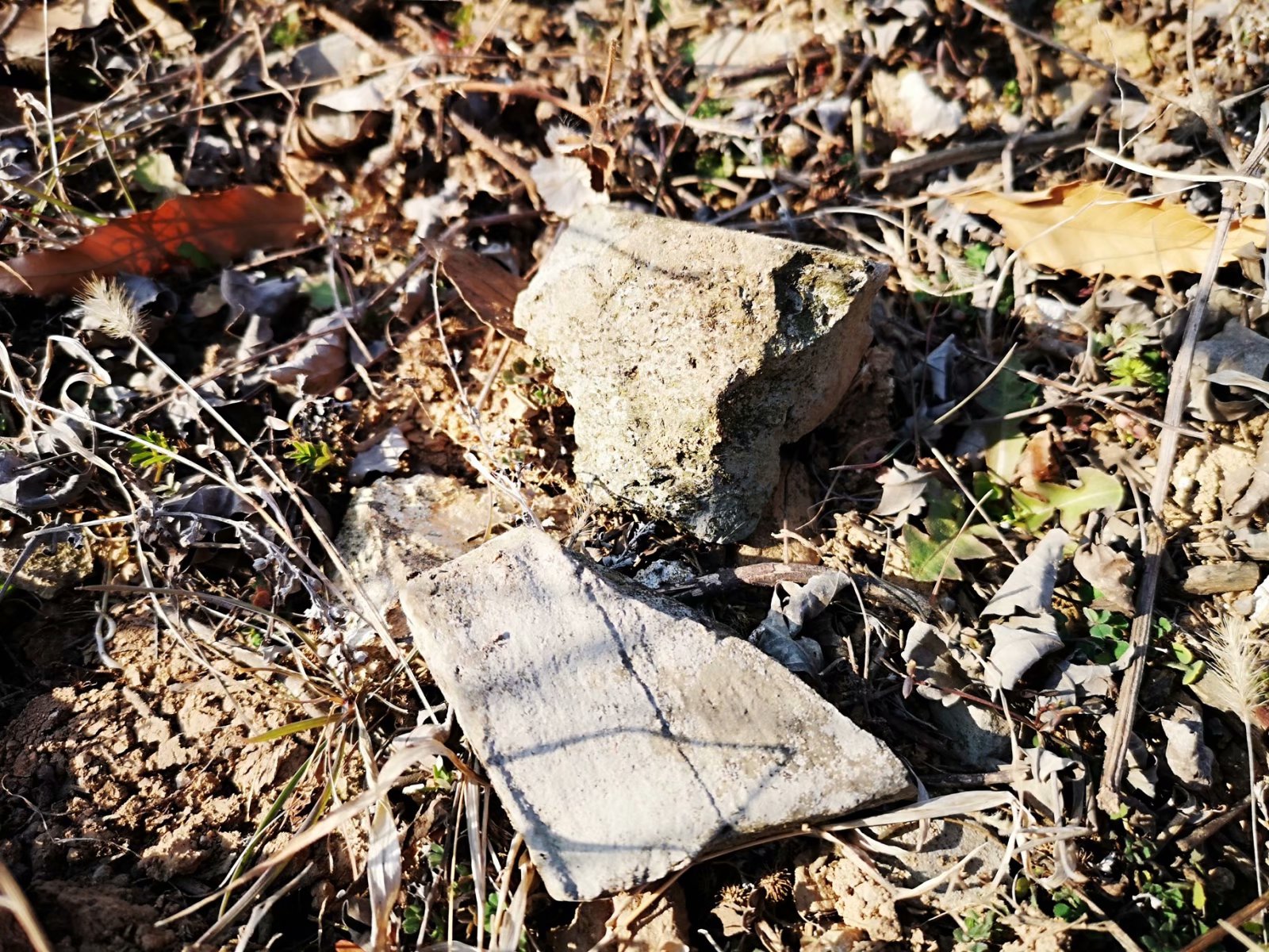 摩托周边旮旯游——探访蚌埠李楼鲁山寺遗址（上）
