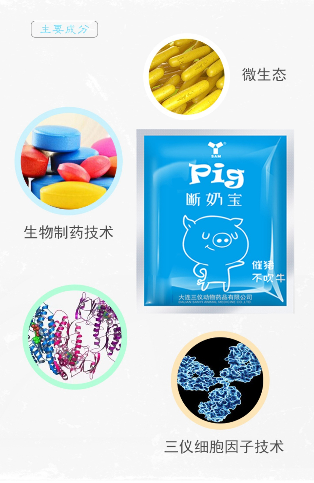 仔猪救命液可治黄白痢吗,新产仔猪怎样预防黄白痢