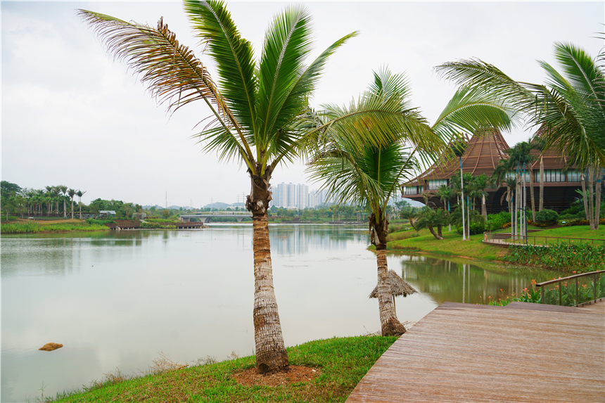 广西最不可思议城市,广西最奇葩的城市是哪个