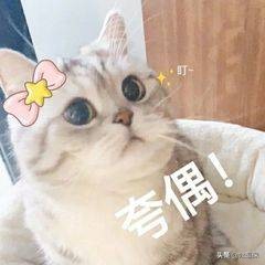 华贵大麦2020定期寿险,华贵大麦定期寿险如何买更划算