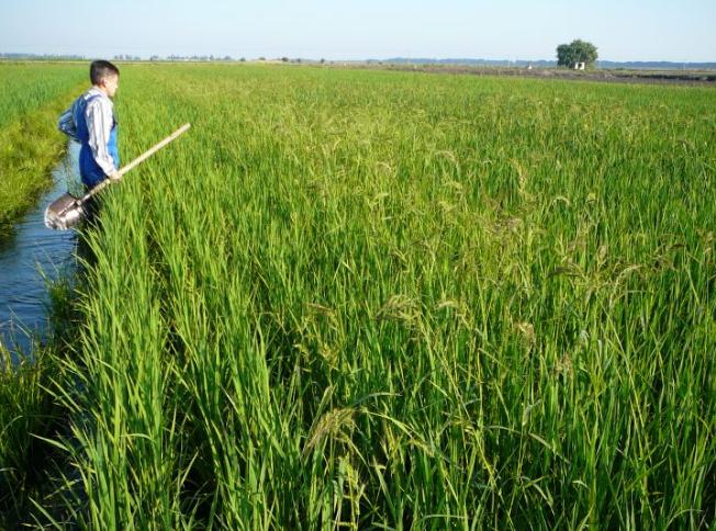 走进俄罗斯（四）苏卡不列的毛子们吃什么