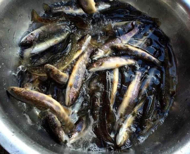 钓的鱼吃起来一股汽油味,鱼身体有柴油味怎么去除