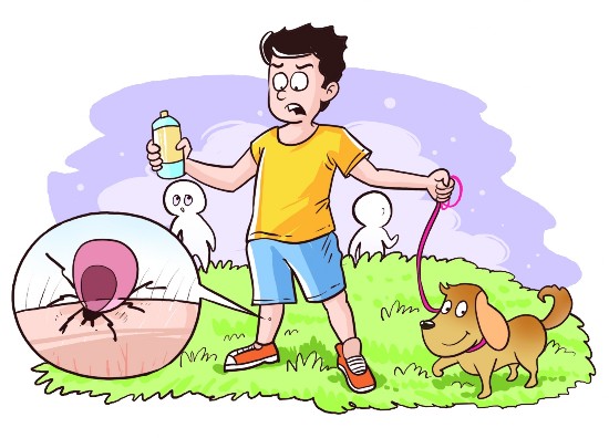 遛狗有蜱虫怎么办,遛狗怎么避免蜱虫