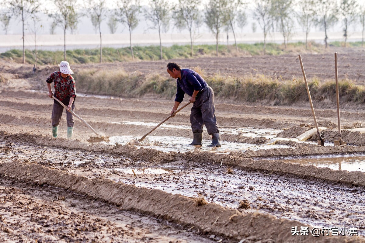 农村土地统一耕种新政策,农村个人耕地面积小怎么办