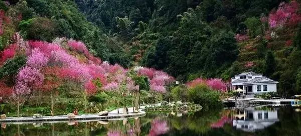 永春的春天是一个异常美丽的地方,永春有哪些地方