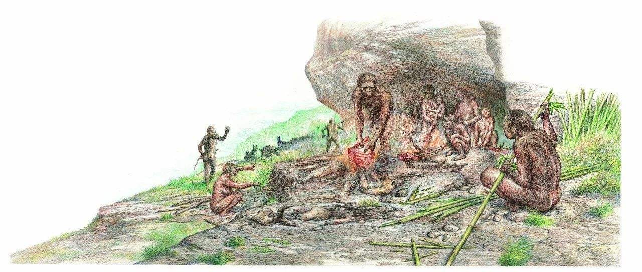 人类经过进化后,失去全身除了头发和阴部毛发,竟然是为了散热?