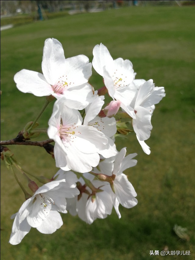 小儿湿疹严重有没有好办法,小儿湿疹需要注意什么