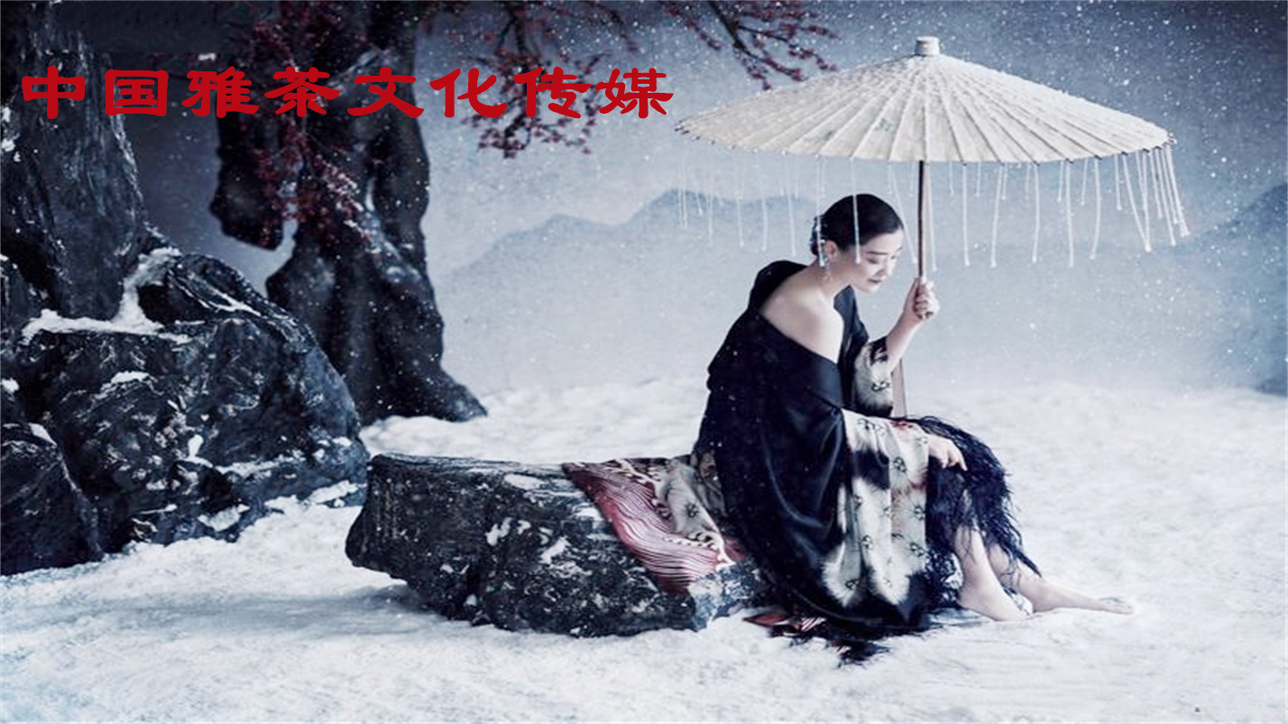 琴瑟在御岁月静好,琴瑟在御岁月静好的配图