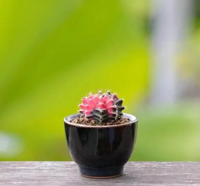 单反室内拍人像技巧和参数设置,佳能单反相机操作使用设置教程