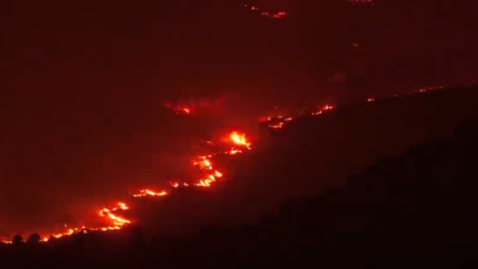 如果地球的海洋突然消失会怎么样,假如海洋生物灭绝了