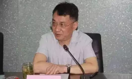 副厅长有多少,副厅长