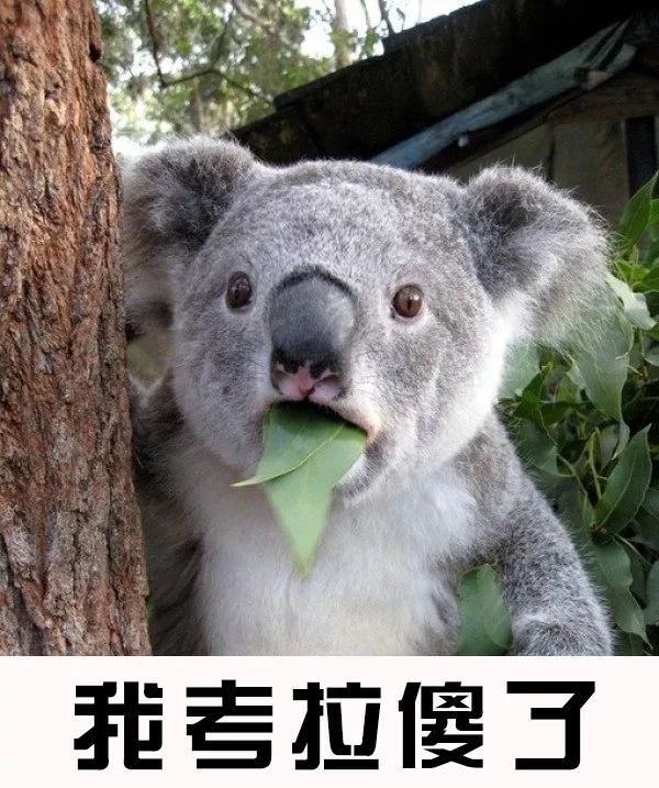 有没有大家不知道的冷知识,那些你们不知道的冷知识