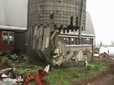 摄影作品点评差,熊猫摄影评分