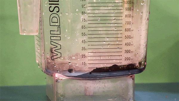 厦门“*力暴**奶茶店”！珍珠都要打碎喝