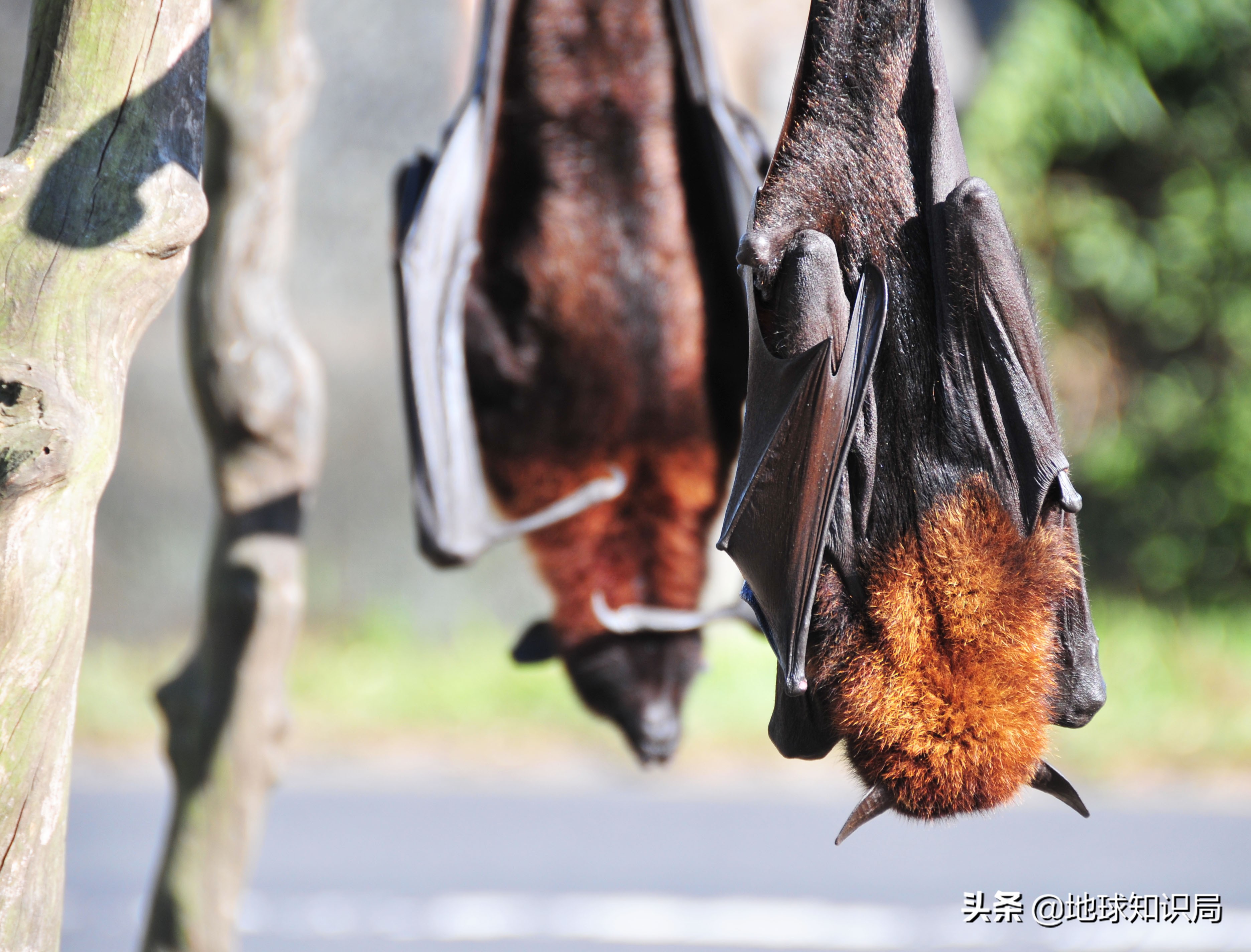 伊斯兰教怎么驱邪,伊斯兰教如何驱魔
