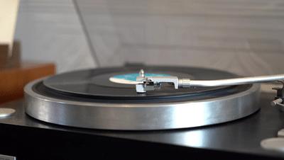 暑假孩子玩手机不如打篮球吧,儿童显微镜放大蚂蚁120倍