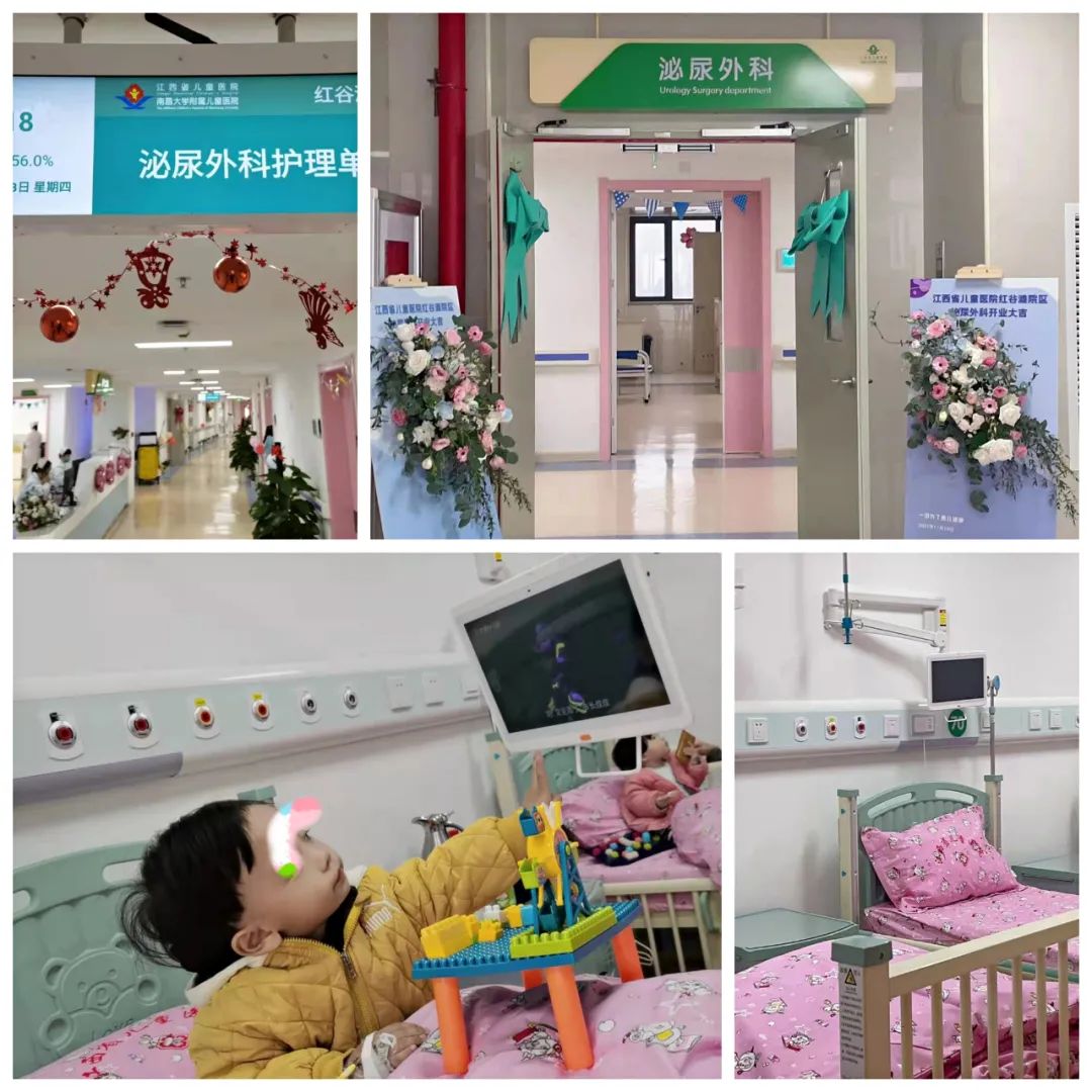 【呱呱教·171】蛋蛋那些事之“疼痛”，千万别大意~