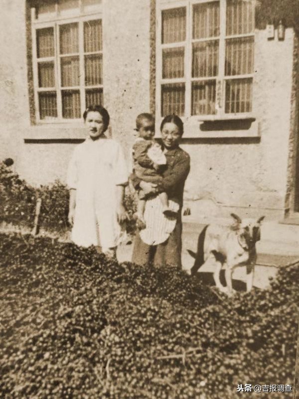 通化葡萄酒到底多出名,国酒通化葡萄酒