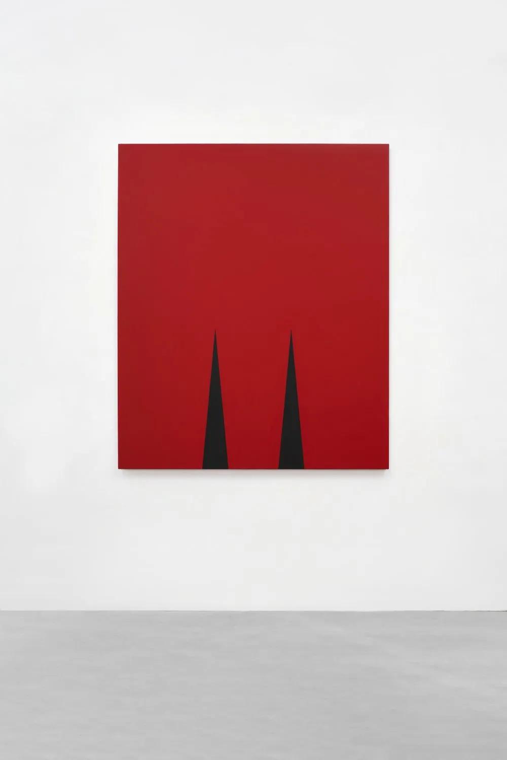 安·埃德霍姆:保持在抽象和叙事之间的矛盾状态