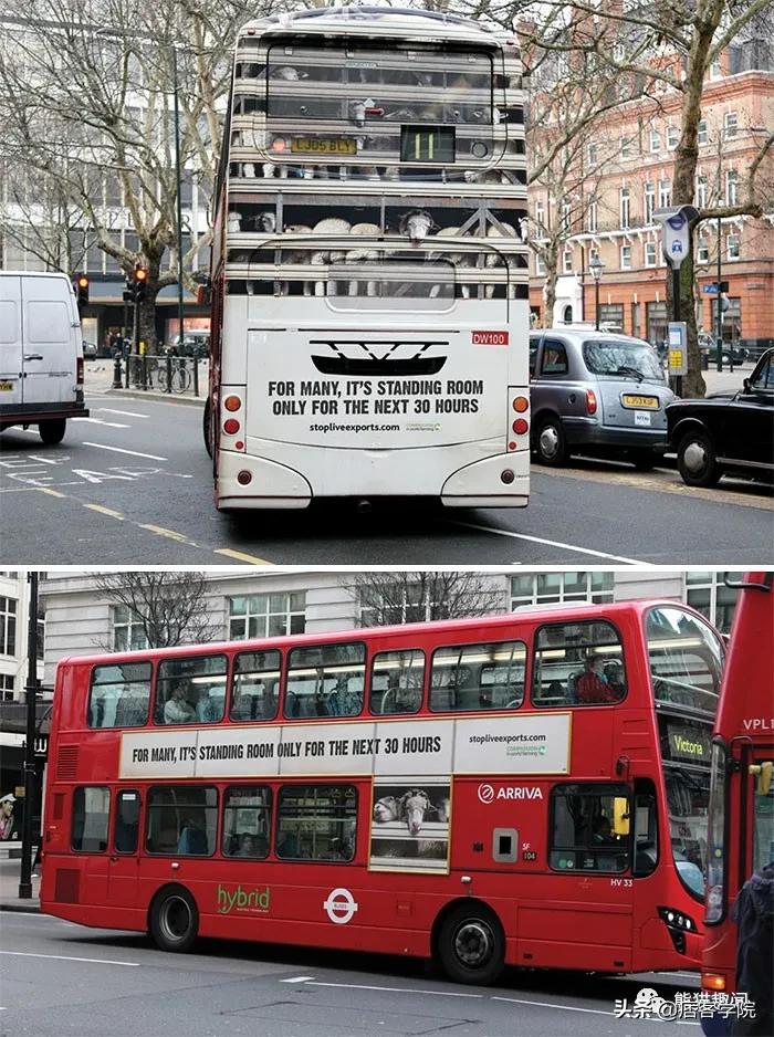 世界最有意思公交车,史上最狂野的公交车广告