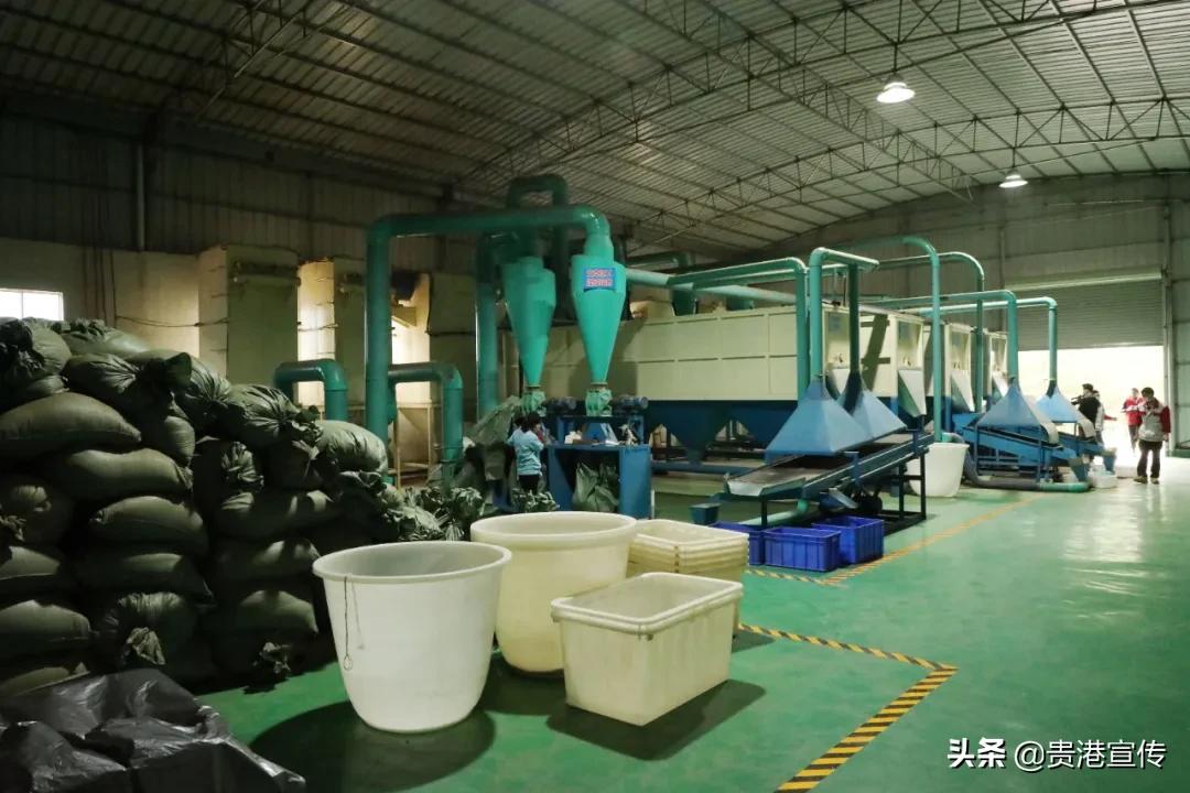 全国电视媒体走进贵港,全国百家媒体相聚巴彦淖尔