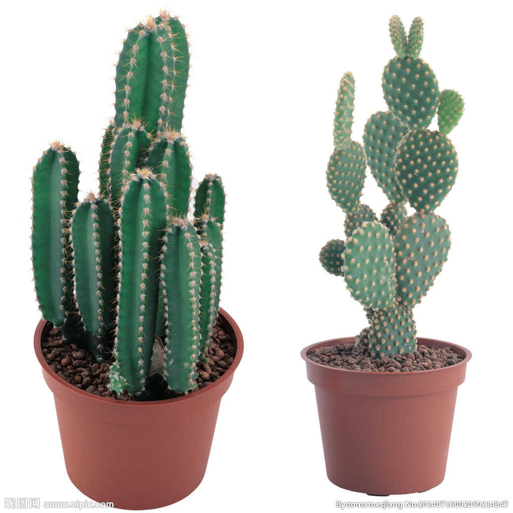 新车快速有效去除甲醛和异味,新床怎么能快速去除异味和甲醛味