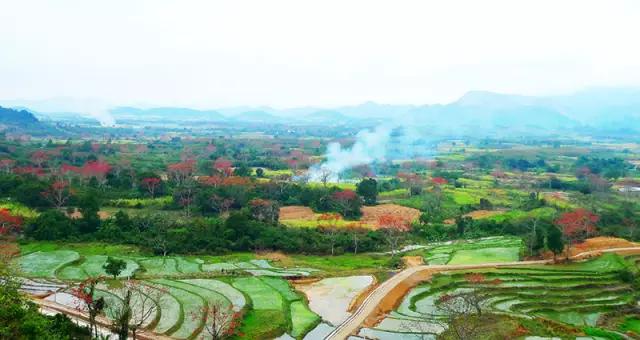 昌江原生态热带雨林森林秘境,海南万宁一个被大自然宠爱的地方