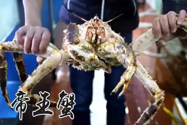 秦皇岛人都知道的地方,秦皇岛最好的海鲜自助餐厅排名榜