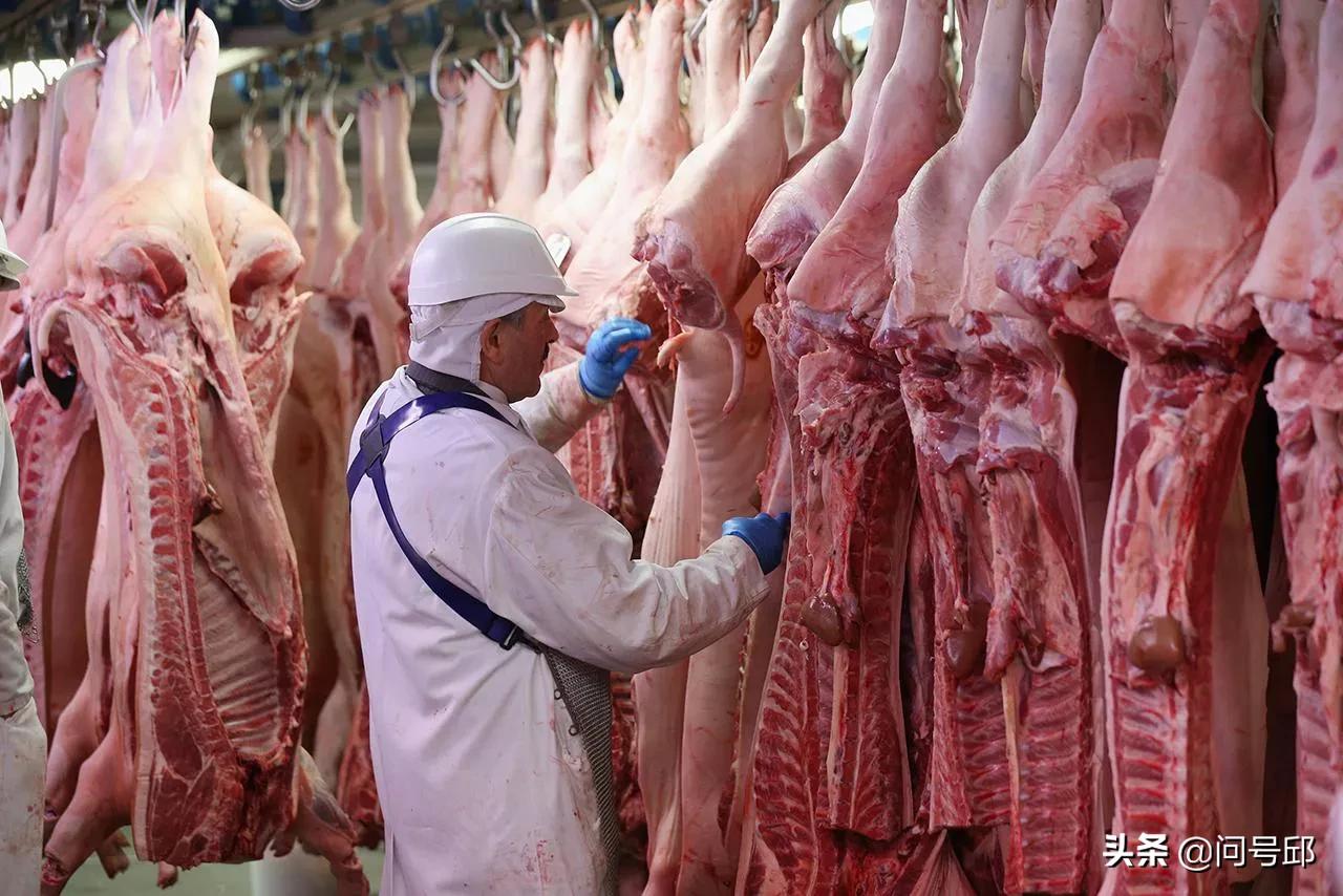 每年人类杀死动物的数据,全球一年要杀害多少个动物