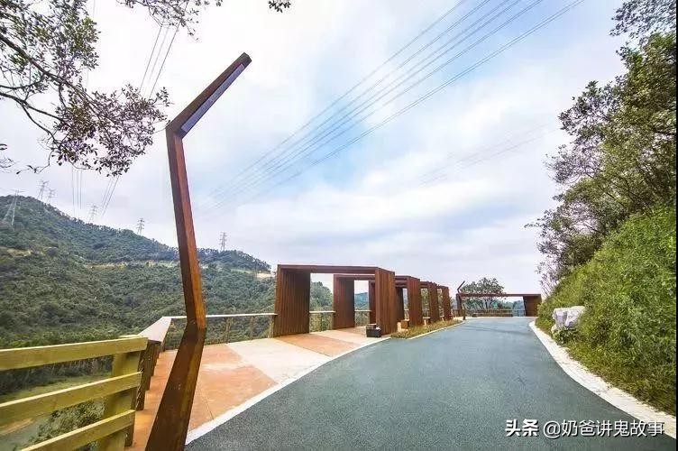 深圳五条超美绿道,龙华环城绿道羊台山段从哪进